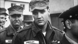 elvis-source